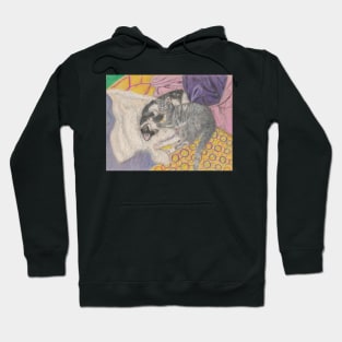 Cute kittens Hoodie